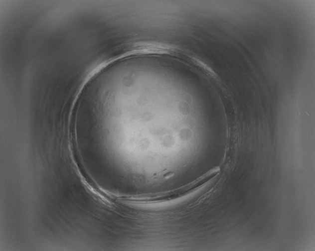 X0000054361471200508011207
