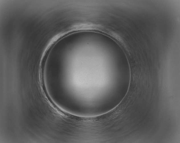 X0000054361472200508011207