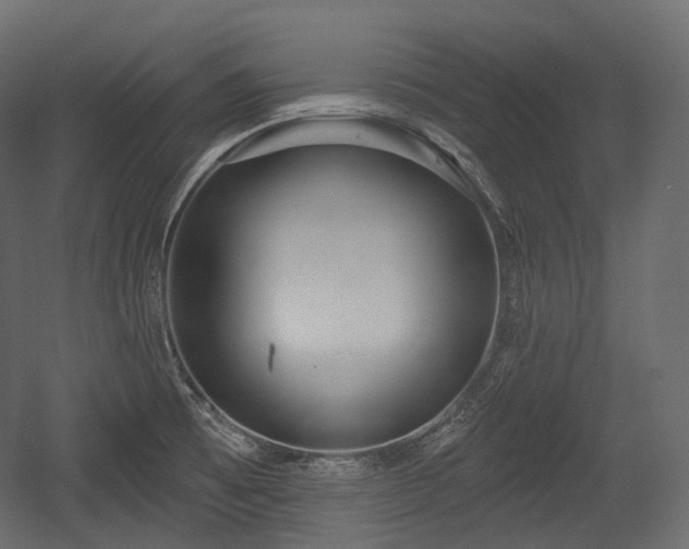 X0000054361473200508011207