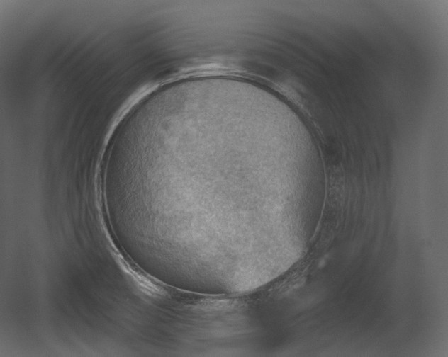 X0000054361474200508011207