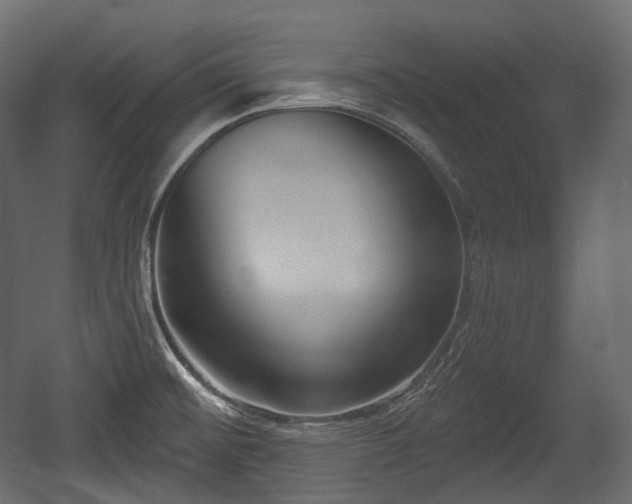 X0000054361476200508011207