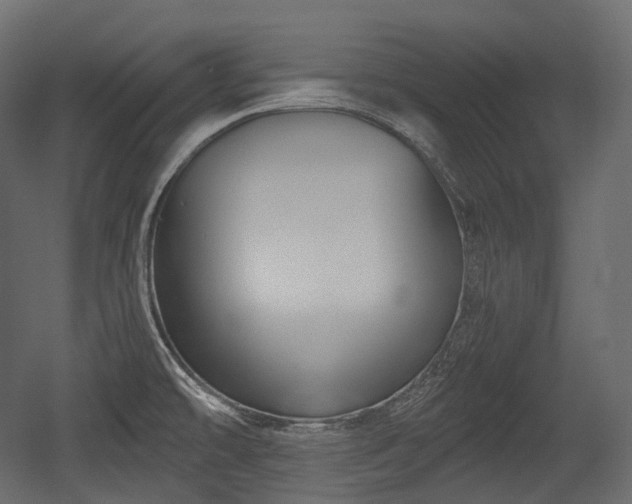 X0000054361478200508011207
