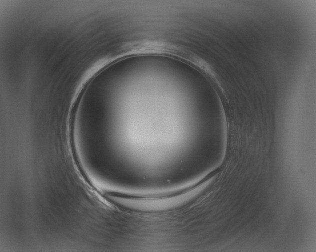 X0000054361480200508011207
