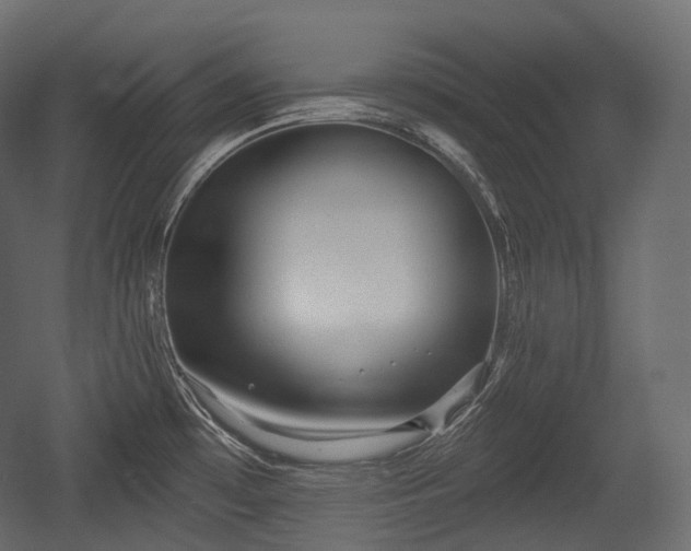 X0000054361481200508011207