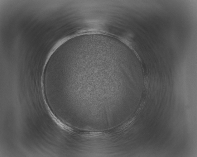 X0000054361482200508011207
