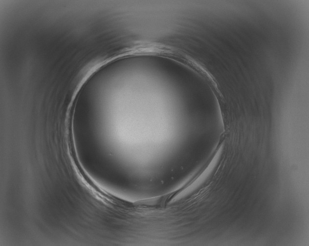 X0000054361483200508011207