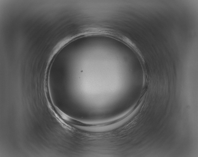 X0000054361485200508011207