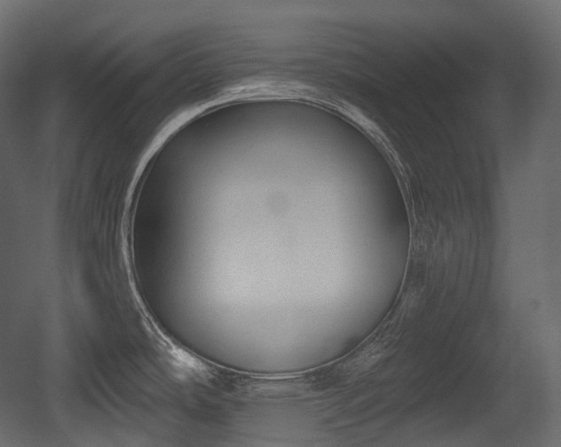 X0000054361486200508011207