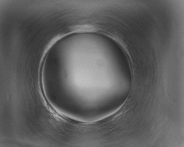 X0000054361488200508011207