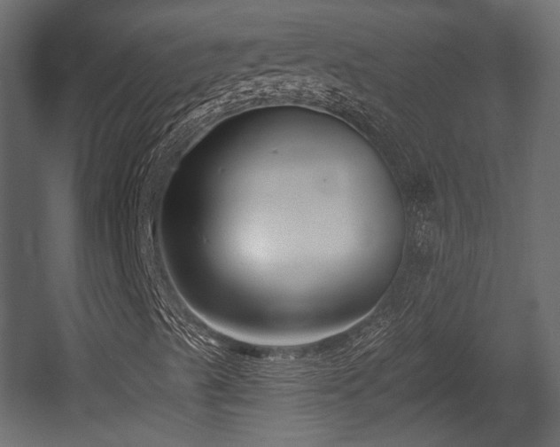 X0000054361489200508011206