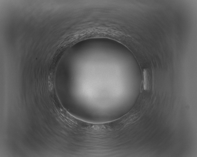 X0000054361491200508011206