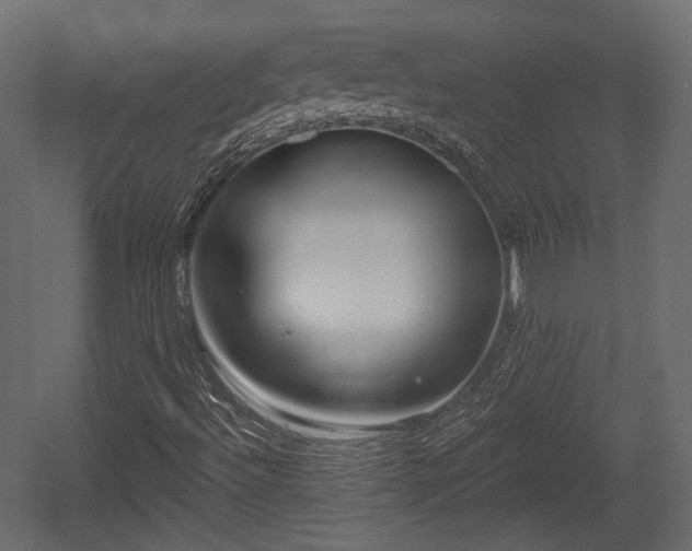 X0000054361492200508011206