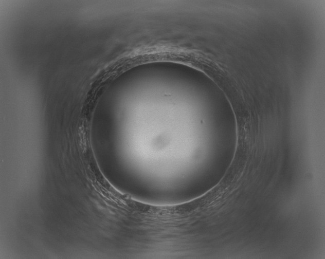 X0000054361493200508011206