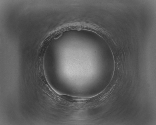 X0000054361494200508011206