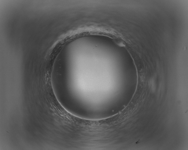 X0000054361495200508011206