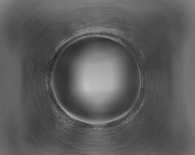 X0000054361497200508011206