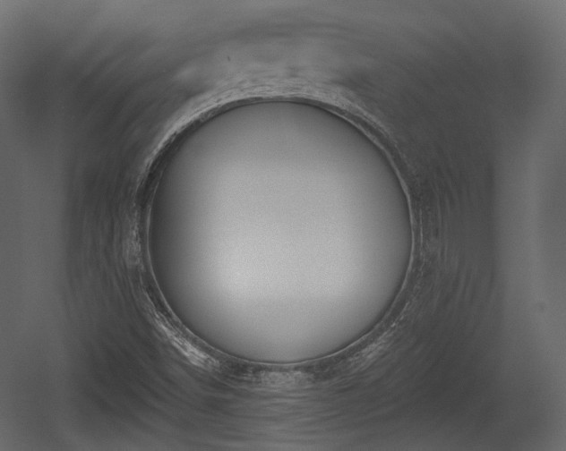 X0000054361498200508011206