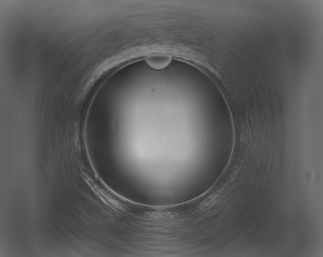 X0000054361499200508011206