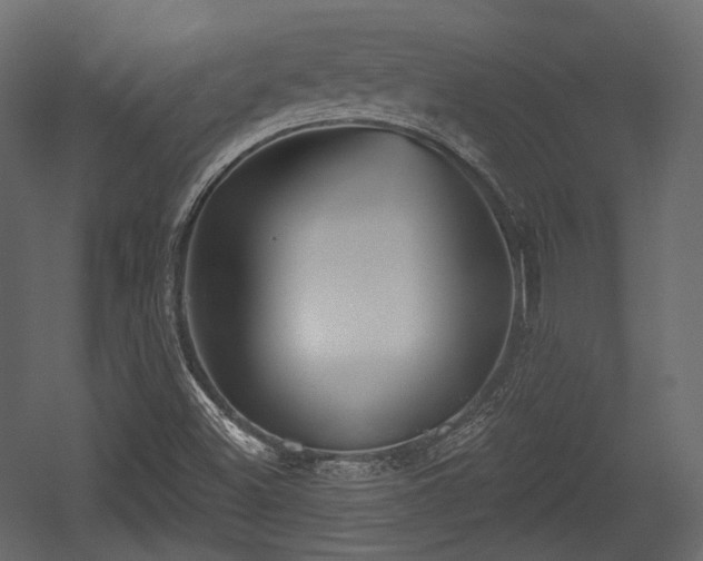 X0000054361500200508011206