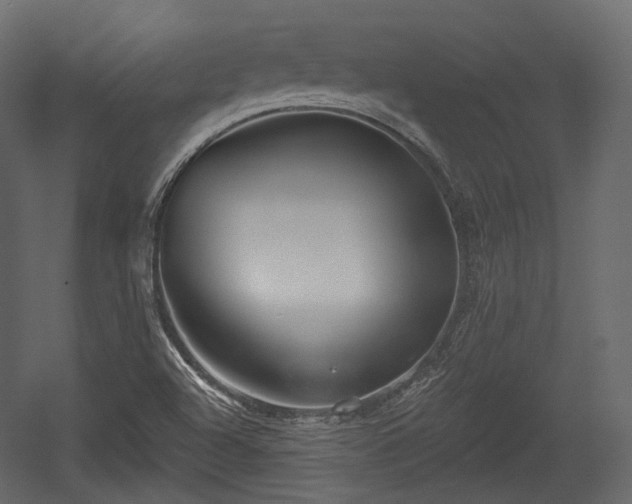 X0000054361504200508011206