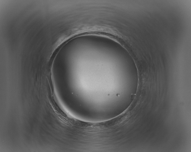 X0000054361505200508011206