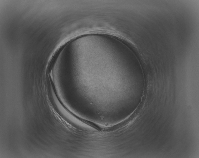 X0000054361506200508011207