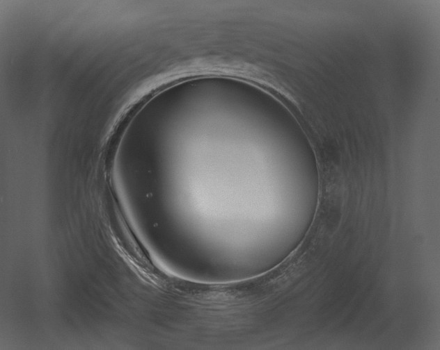 X0000054361507200508011207