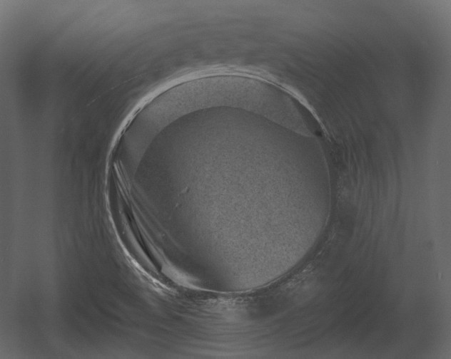 X0000054361508200508011207