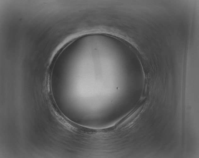 X0000054361510200508011207