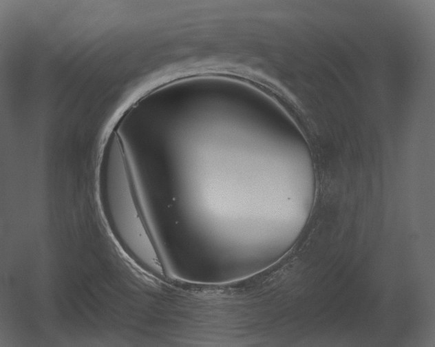 X0000054361512200508011207