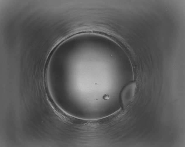 X0000054361513200508011207