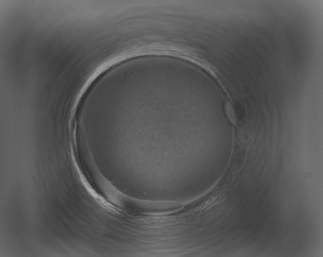 X0000054361515200508011207