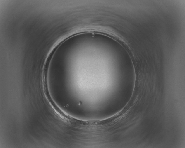 X0000054361517200508011207
