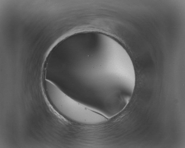 X0000054361518200508011207