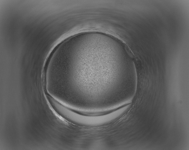 X0000054361519200508011207