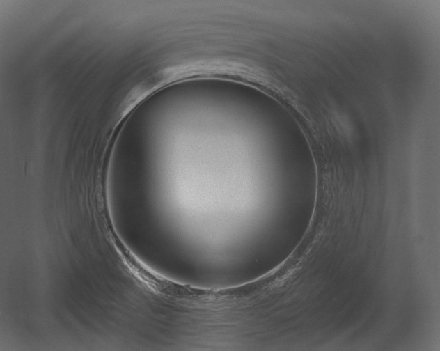 X0000054361521200508011207