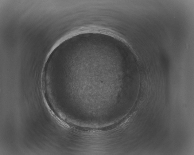 X0000054361522200508011207