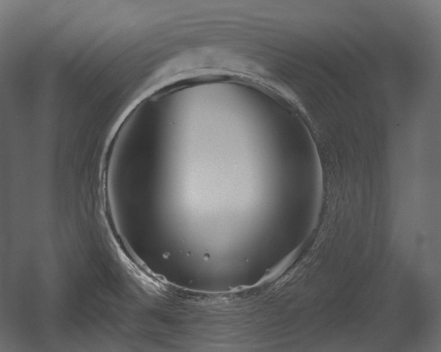 X0000054361524200508011207