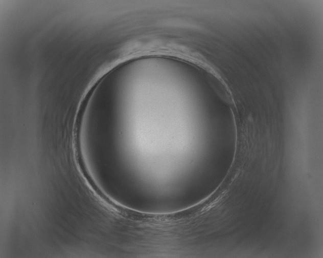 X0000054361525200508011207