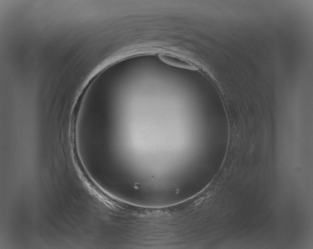 X0000054361526200508011207