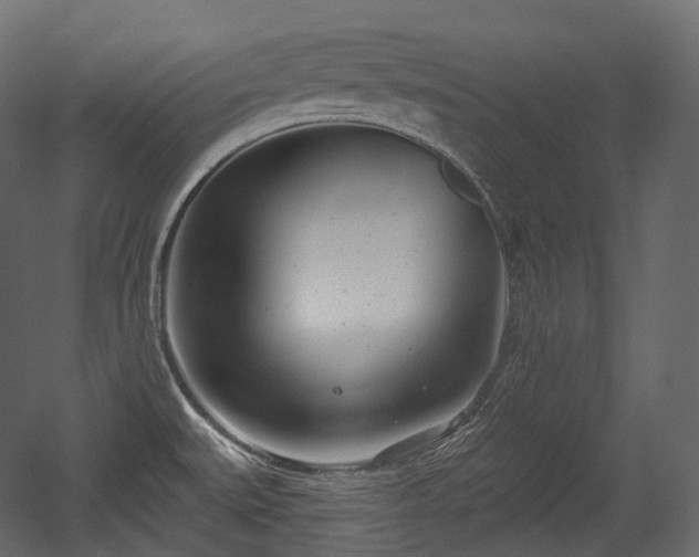 X0000054361527200508011207