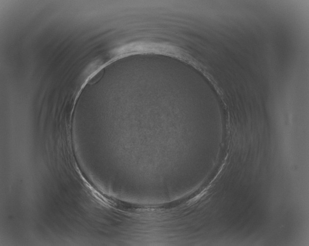 X0000054361529200508011207