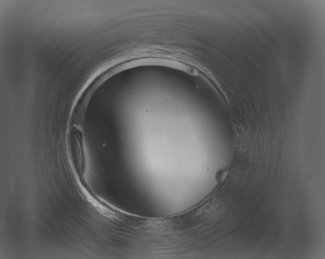 X0000054361531200508011207