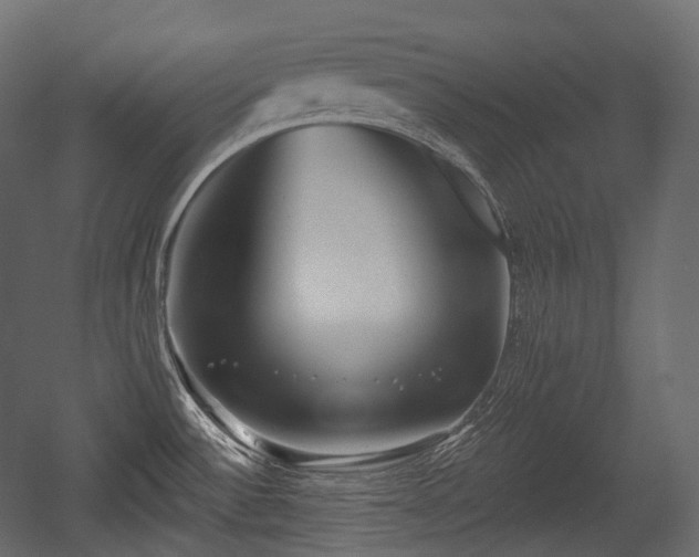 X0000054361532200508011207