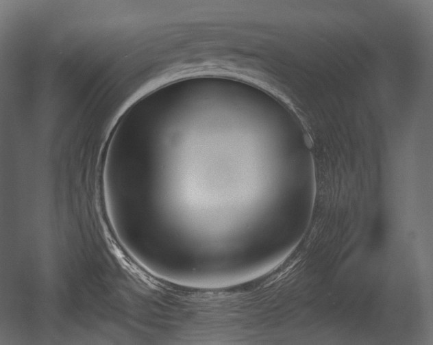 X0000054361534200508011207