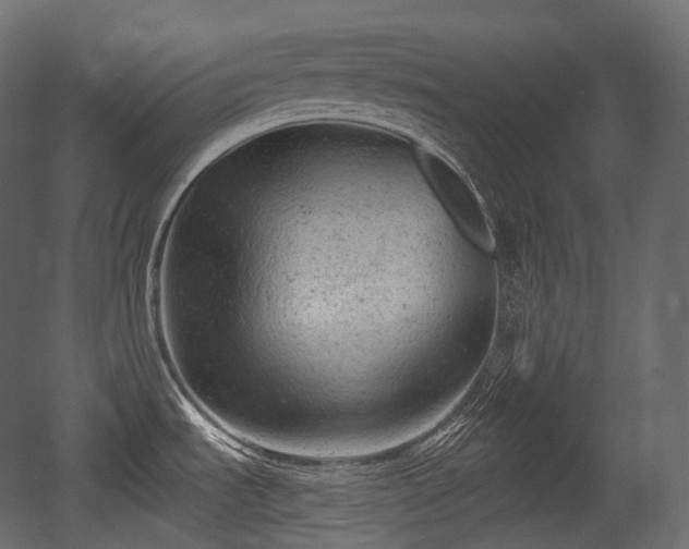 X0000054361535200508011207