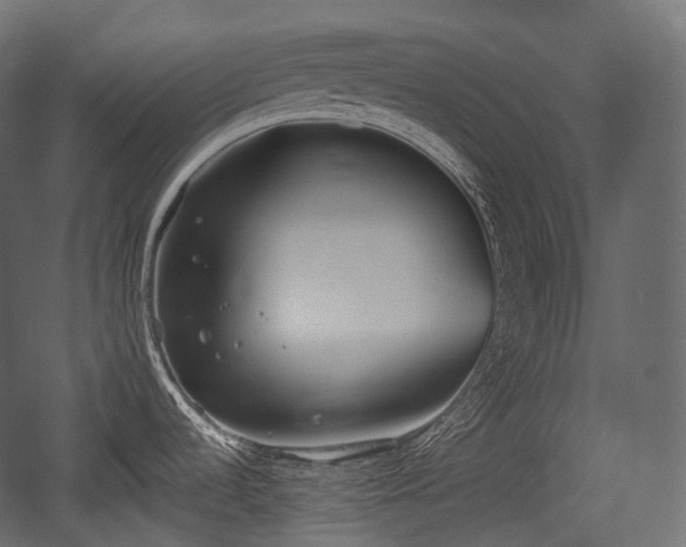 X0000054361536200508011207