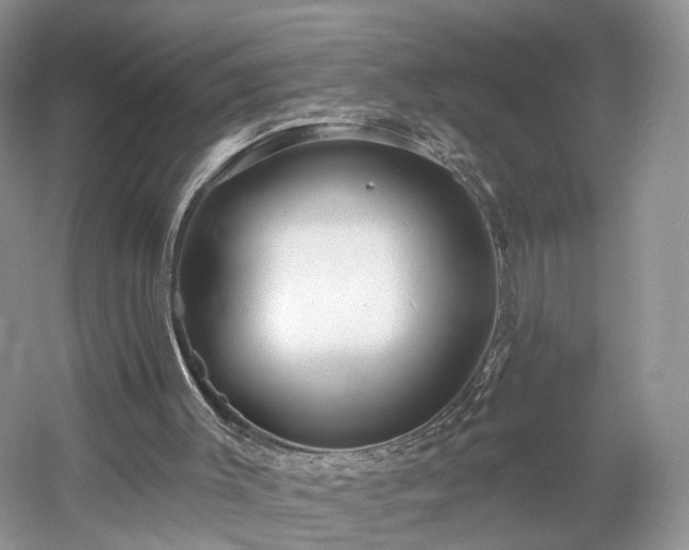 X0000054360003200508051541