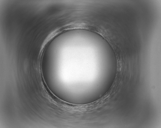 X0000054360004200508051541
