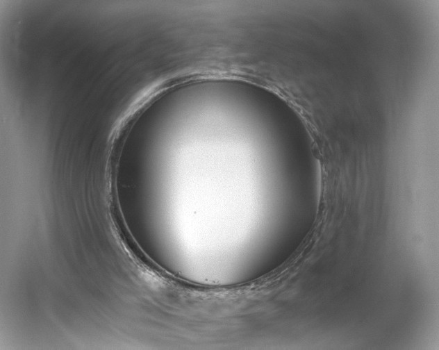 X0000054360005200508051541